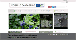 Desktop Screenshot of lifeurogallo.es